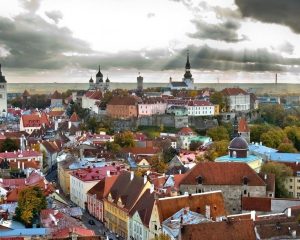 Tallinn Stag Do